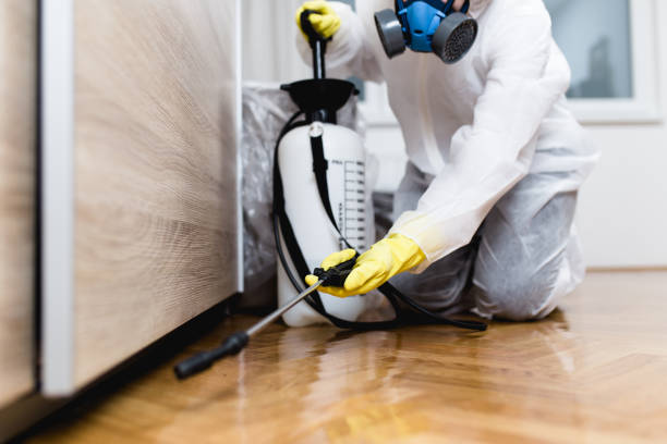 Best Cockroach Control Services  in New Hartford Center, CT