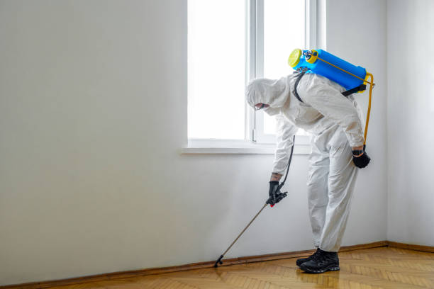 Best Pest Inspection Near Me  in New Hartford Center, CT