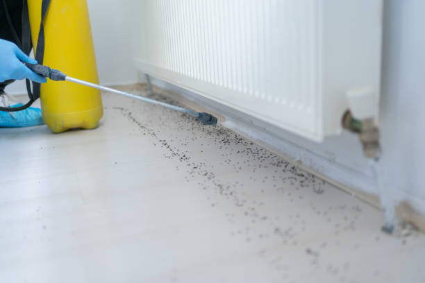 Best Termite Control Services  in New Hartford Center, CT